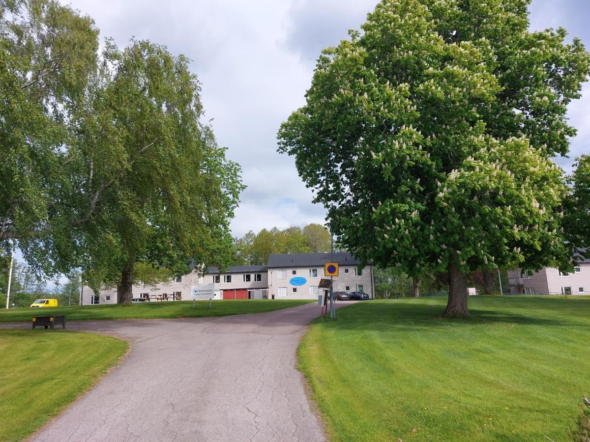 Hammaroe Vandrarhem Zewnętrze zdjęcie